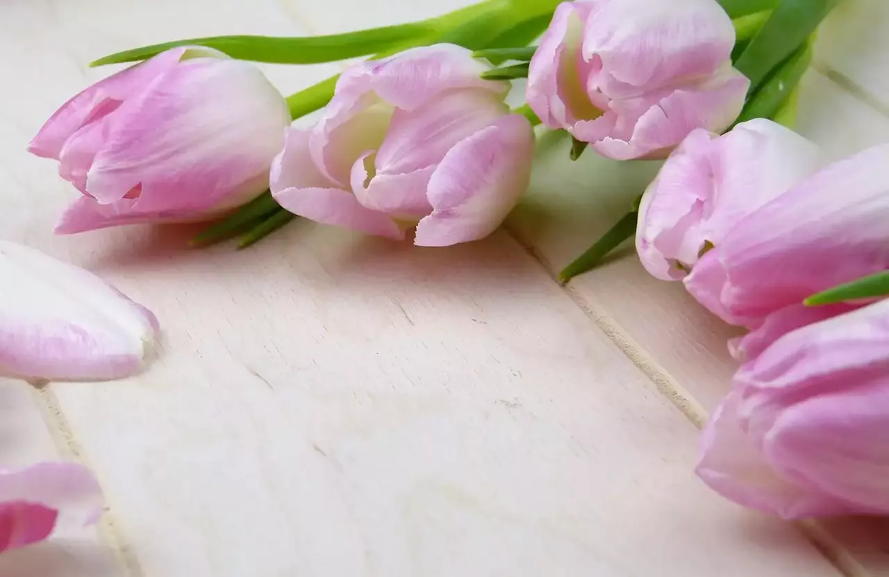 Navigating Valentine's Day as a New Couple