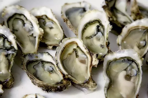 Top 10 Aphrodisiac Foods to Spice Up Your Valentine's Day